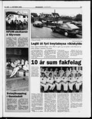 Síða 19