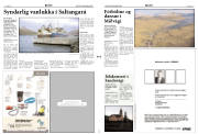 Síða 3