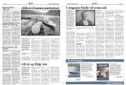 Síða 4