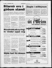 Síða 3
