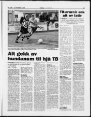 Síða 15