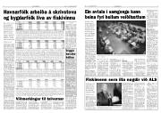 Síða 4