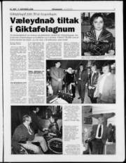 Síða 7