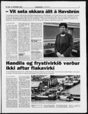 Síða 7