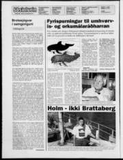 Síða 2