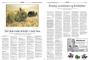 Síða 17