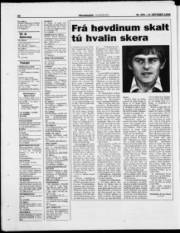 Síða 26