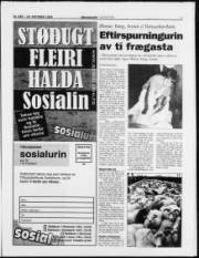Síða 7