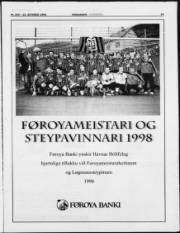 Síða 11