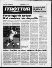 Síða 17