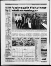 Síða 28