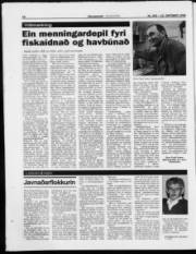Síða 16
