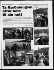 Síða 17