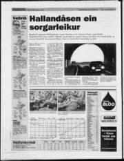 Síða 32