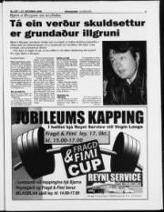 Síða 3