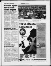 Síða 3