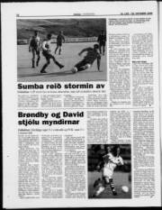 Síða 12