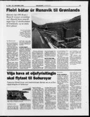 Síða 13