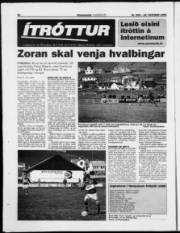 Síða 16