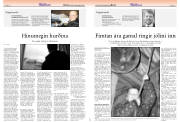 Síða 17