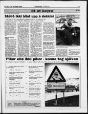 Síða 17