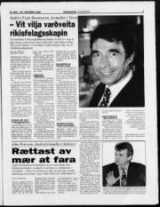 Síða 3