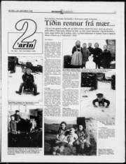 Síða 11
