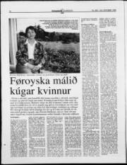 Síða 17