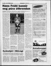 Síða 22