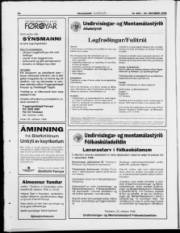Síða 23