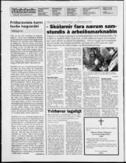 Síða 2