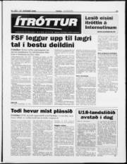 Síða 13