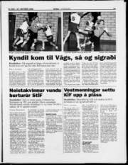 Síða 15