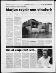 Síða 22