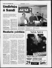 Síða 5