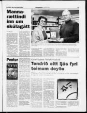 Síða 11