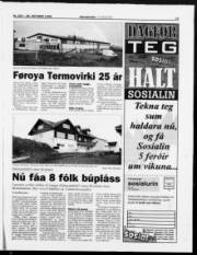 Síða 15