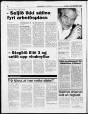 Síða 8