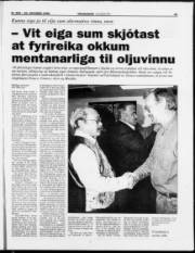 Síða 19