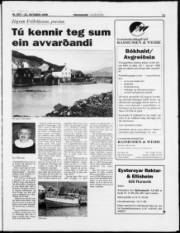 Síða 11