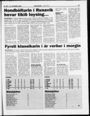 Síða 23