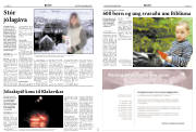 Síða 10