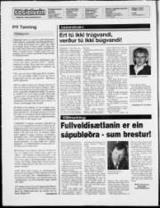 Síða 2