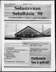 Síða 11