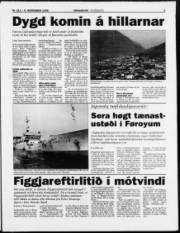 Síða 3