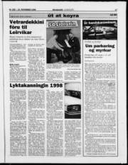 Síða 17
