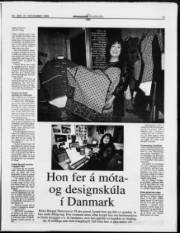Síða 15