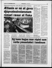 Síða 11