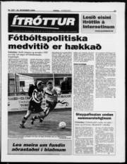 Síða 13