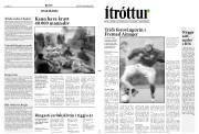 Síða 11